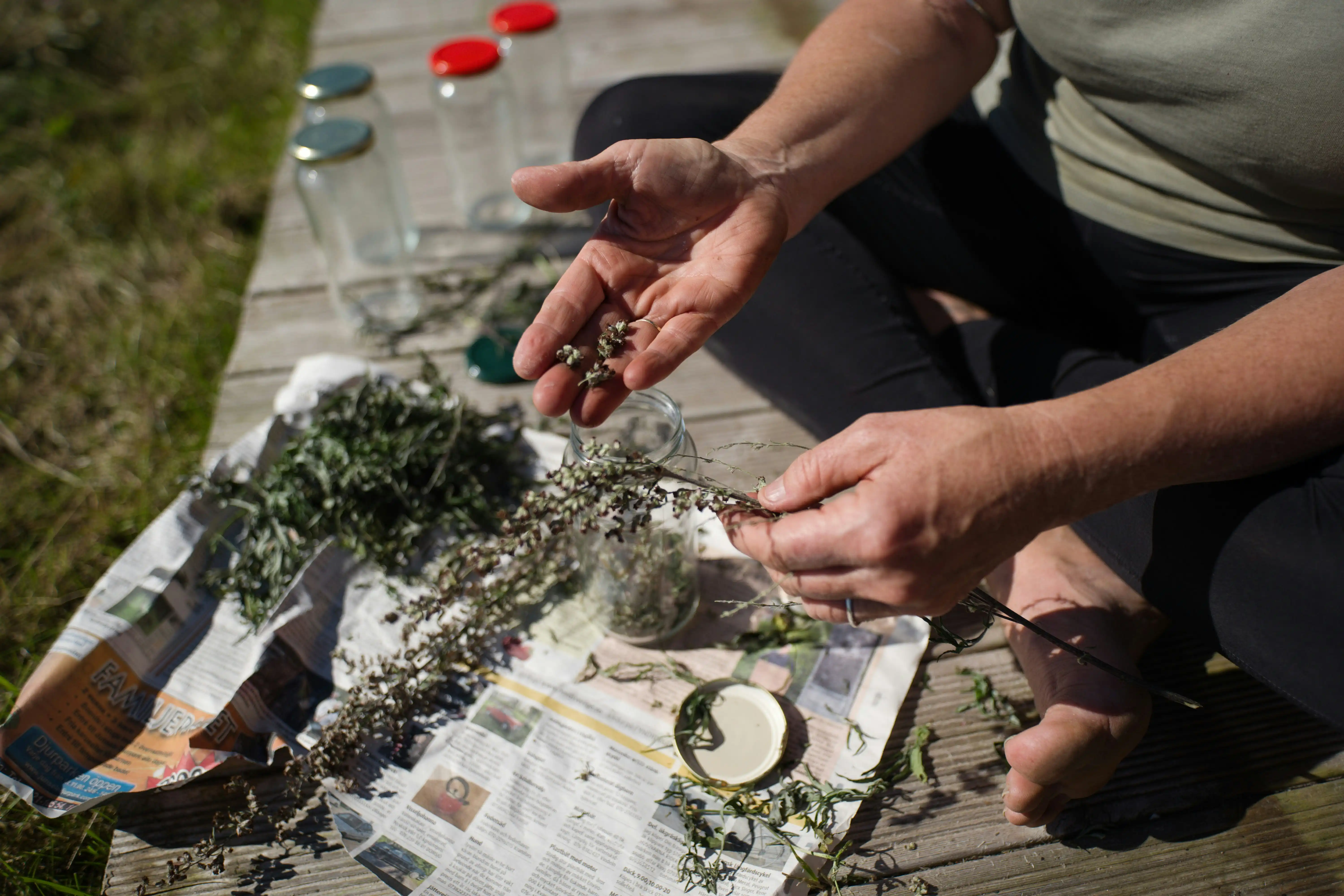 Hands sorting green herbs on wooden surface