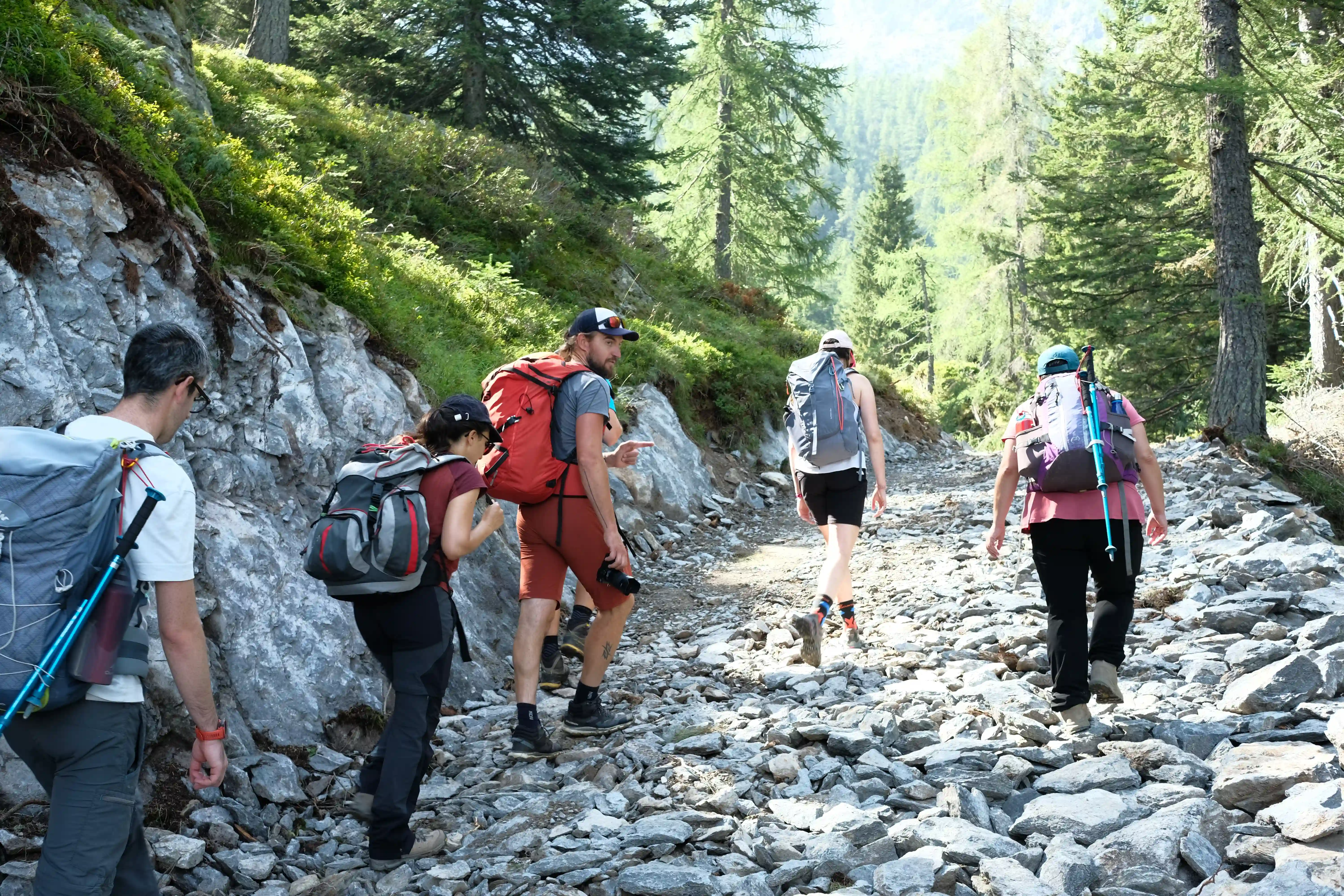 Hikers walking through a rocky forest path